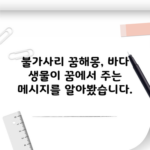 불가사리 꿈해몽, 바다 생물이 꿈에서 주는 메시지를 알아봤습니다.