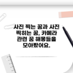 사진 찍는 꿈과 사진 찍히는 꿈, 카메라 관련 꿈 해몽들을 모아봤어요.