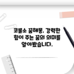 코뿔소 꿈해몽, 강력한 힘이 주는 꿈의 의미를 알아봤습니다.